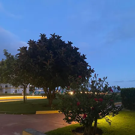 Amazing T2 With Sea View Pool Park Private Access To The Apartamento Oeiras